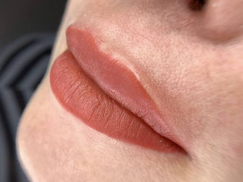 LIPS NE PIGMENTS #208 PEACH