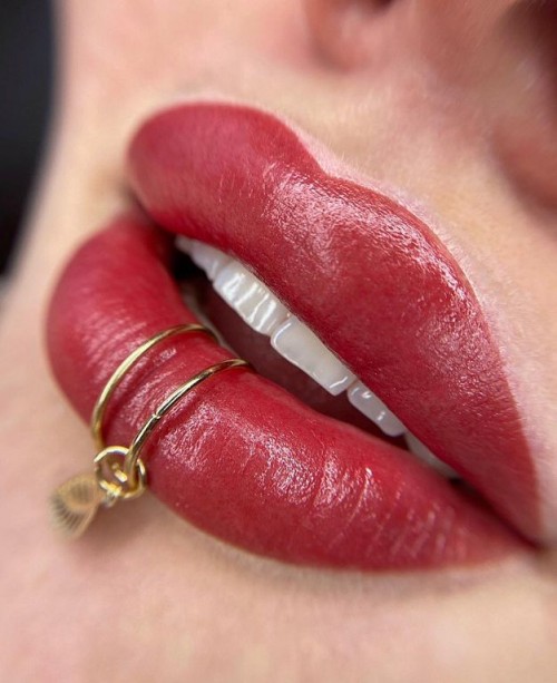 LIPS NE PIGMENTS #205 ROSE