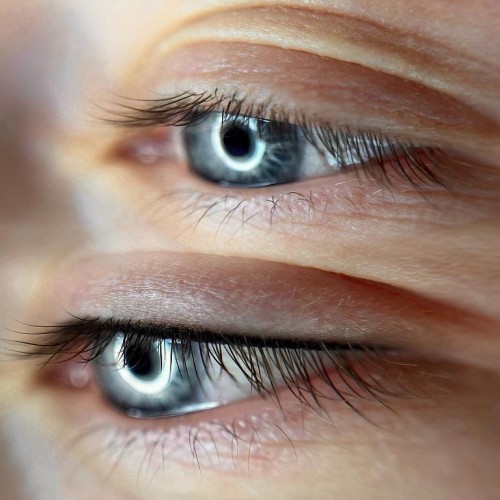 EYELINER NE PIGMENTS #303 BLACK